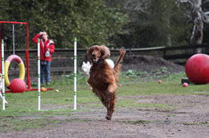Lancie Runs